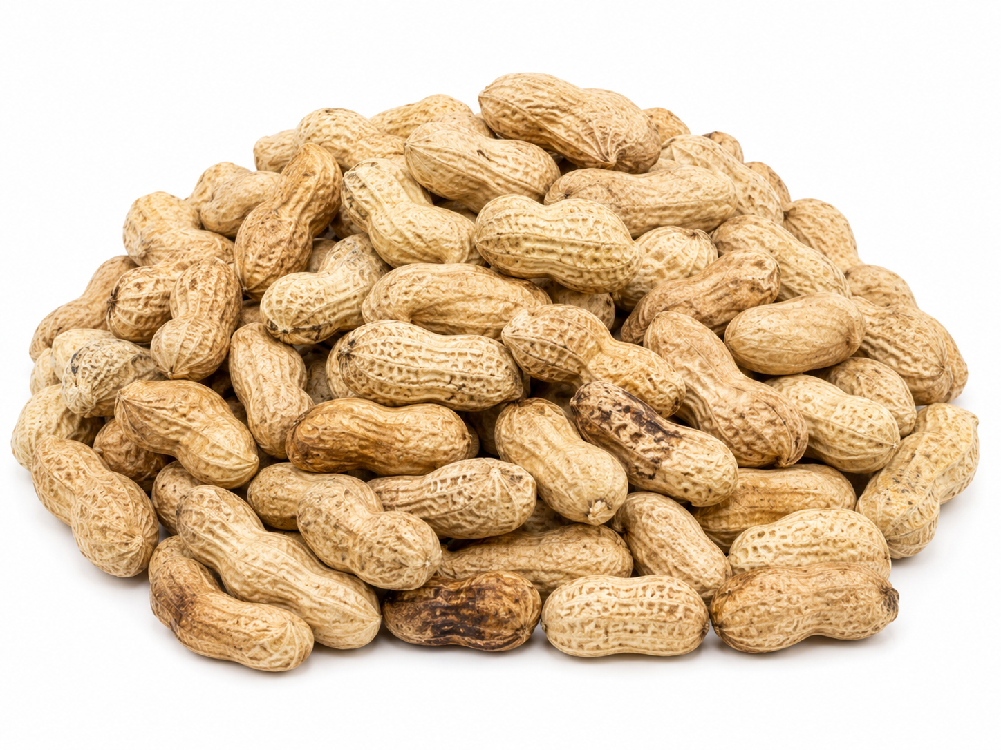 Badam